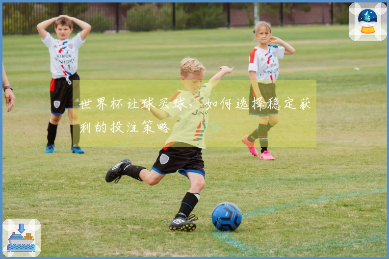 世界杯让球买球，如何选择稳定获利的投注策略