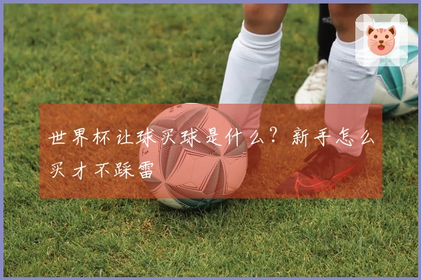 世界杯让球买球是什么？新手怎么买才不踩雷