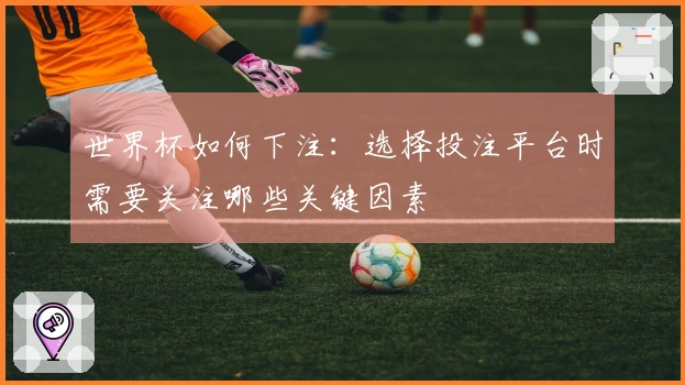 世界杯如何下注：选择投注平台时需要关注哪些关键因素