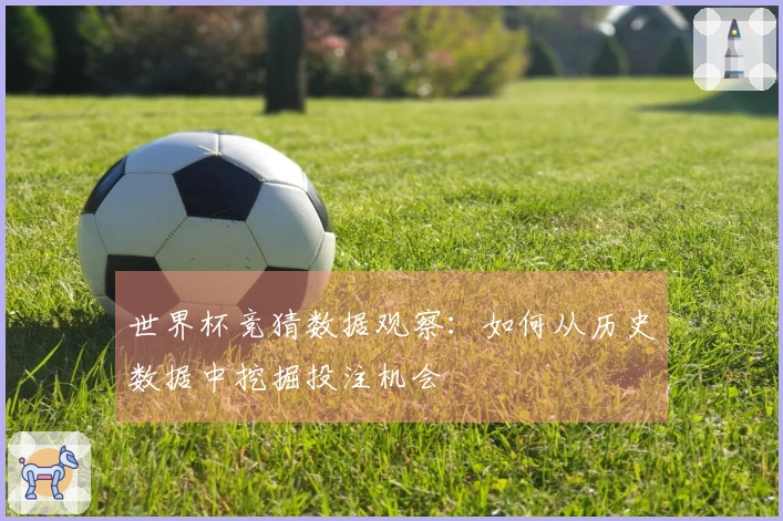 世界杯竞猜数据观察：如何从历史数据中挖掘投注机会