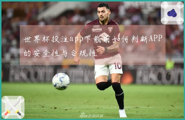 世界杯投注app下载前如何判断APP的安全性与合规性