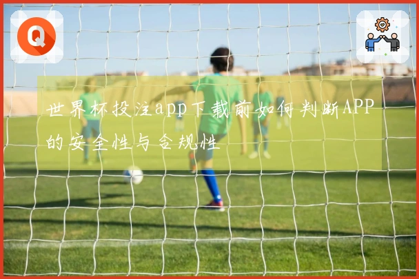 世界杯投注app下载前如何判断APP的安全性与合规性