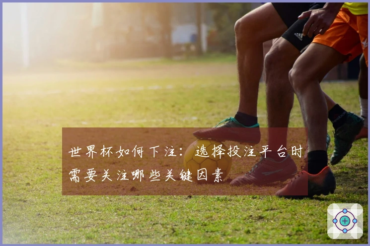 世界杯如何下注：选择投注平台时需要关注哪些关键因素